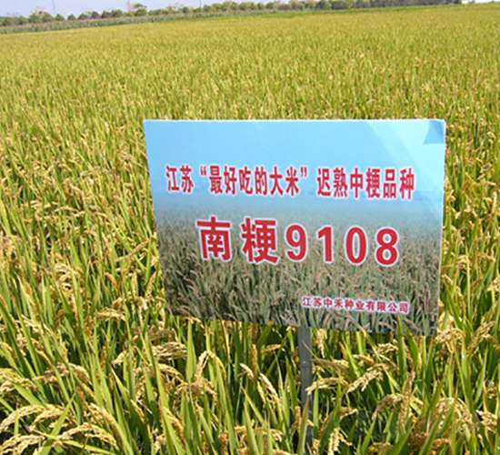 �Ͼ�9108-ˮ���N��-�к̷N�I(y��)