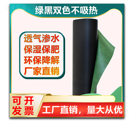 ���ݲ�-���E�Ƽ�