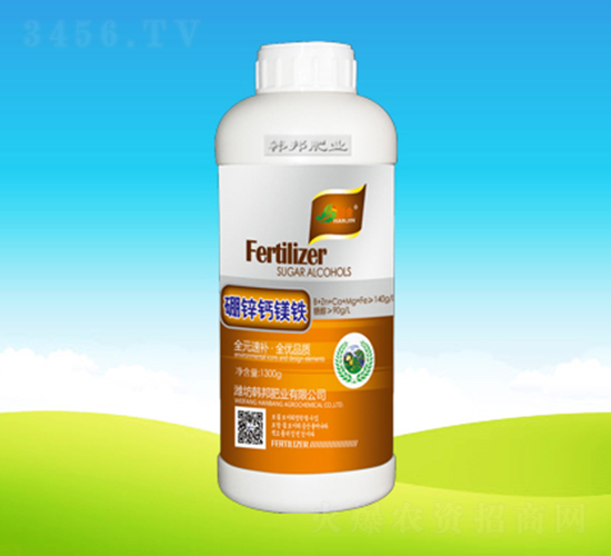 ���\�}�V�F-�n��ʘI(y��)