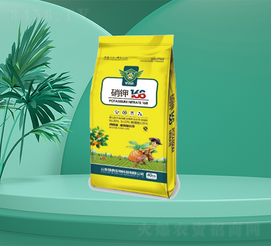 ���168-�㶦����