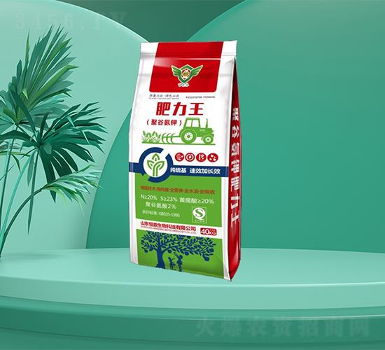 �۹Ȱ��-������-�㶦����