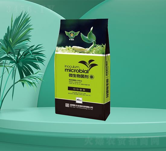 ΢�������-�㶦����