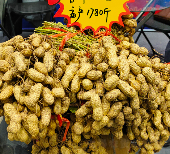 ������1̖�����N��