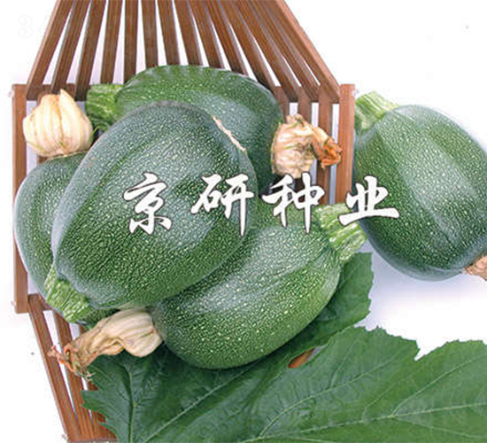 ����-�����J�N��-����