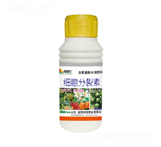 ����������-���՘�-���ɷʘI(y��)