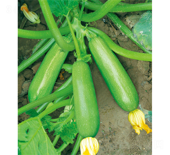 �;G�����܊-�����J�N��-�W�m��