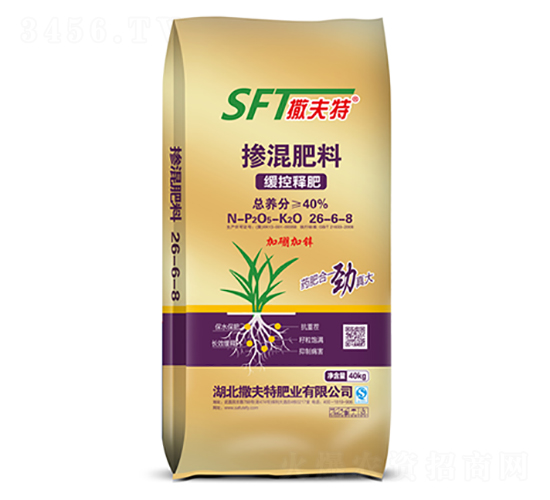 ����ጓ������26-6-8-������