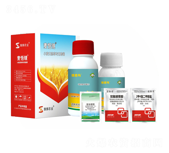 ���݌����ײ�-�����R-�S�՘�