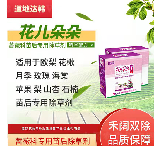 �Nޱ�ƌ��������݄�-�������-�����_(d��)�n