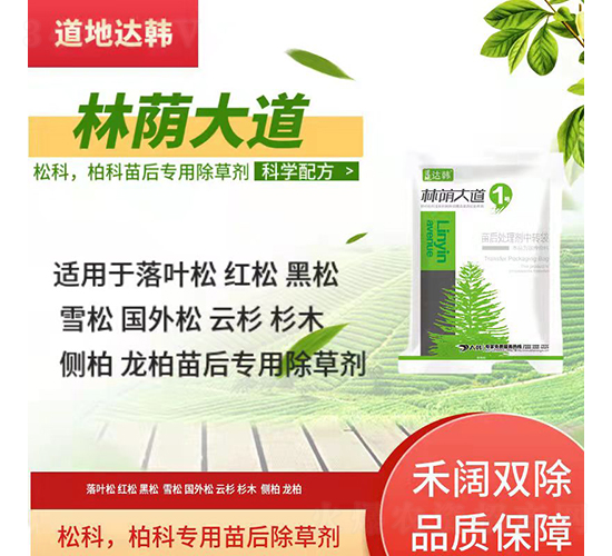 �ɿưؿƌ��������݄�-���a���-�����_(d��)�n