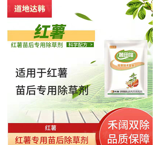 �t�팣�������݄�-�����_(d��)�n