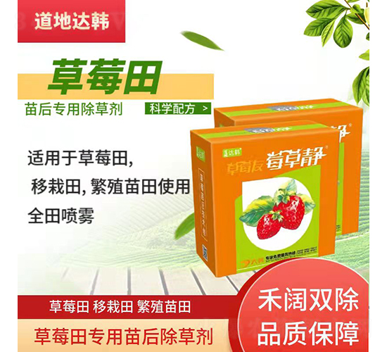 ��ݮ����ó��݄�-��ݮ�o-�����_(d��)�n