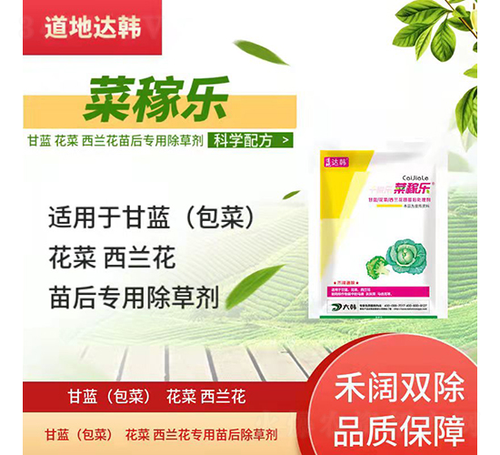 ���{�������{�����������݄�-�˼ژ�-�����_�n