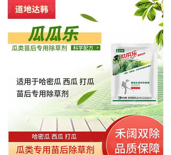 ����������݄�-�ϹϘ�-�����_(d��)�n