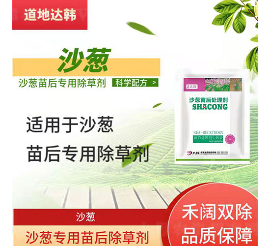 ɳ�[��(zhu��n)�������݄�-�����_(d��)�n