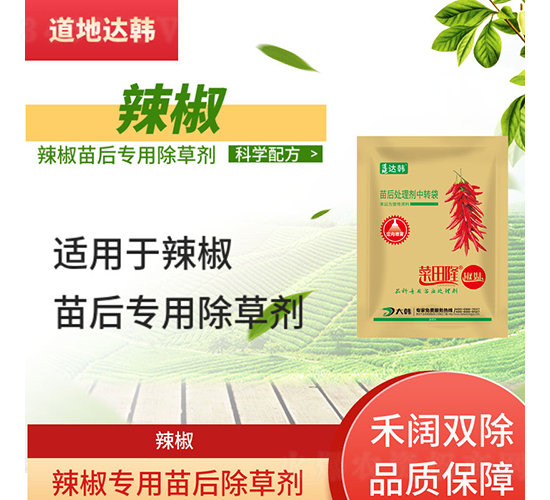 �������(zhu��n)�ó��݄�-����-�����_(d��)�n