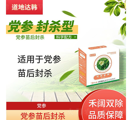 �h�����⚢���݄�-�����_�n