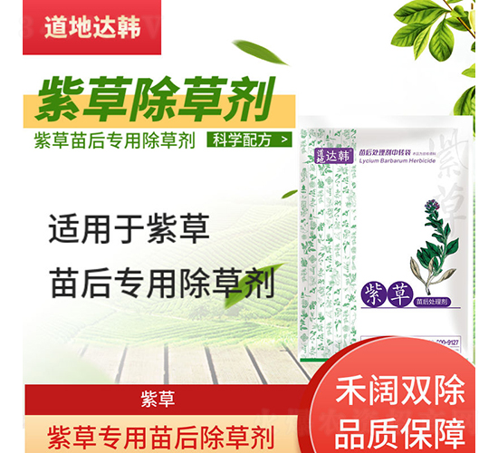 �ϲ݌��������݄�-�����_�n