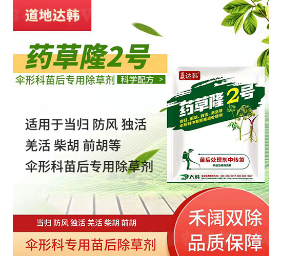 ���οƌ��������݄�-ˎ��¡2̖(h��o)-�����_(d��)�n