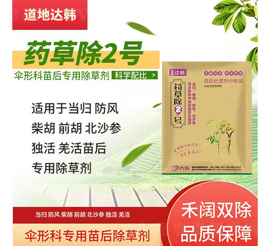 ���οƌ��������݄�-ˎ�ݳ�2̖-�����_�n