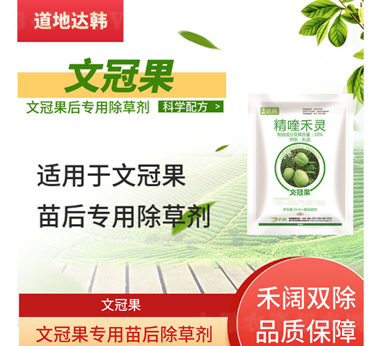 �Ĺڹ����������݄�-�����_(d��)�n