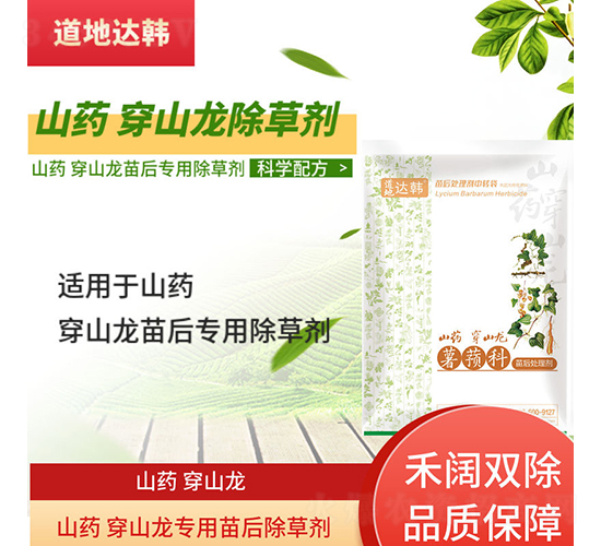 ɽˎ��ɽ�����������݄�-�����_�n