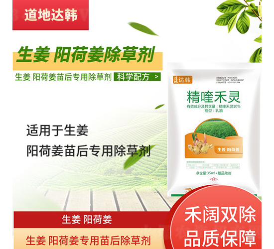 ����ꖺɽ����������݄�-�����_�n