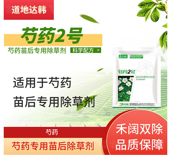 ��ˎ���������݄�-��ˎ2̖-�����_�n