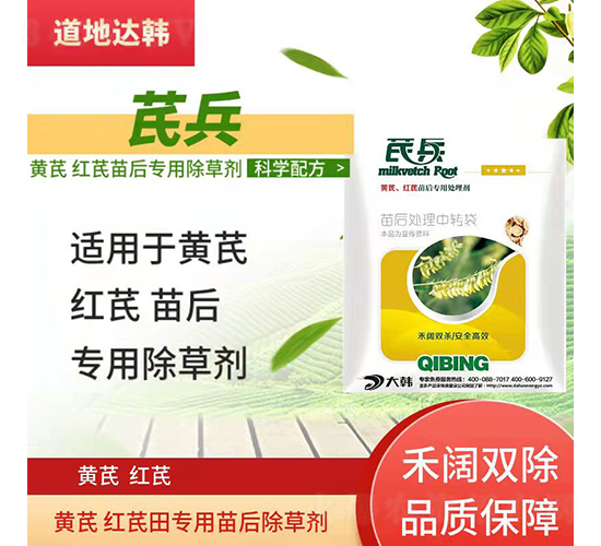 �S�μt�Ό��������݄�-�α�-�����_(d��)�n