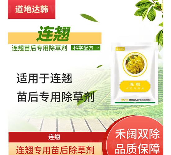 �B�N���������݄�-�����_�n