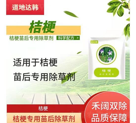 �۹����������݄�-�����_�n