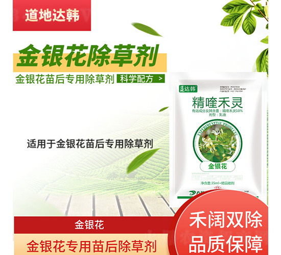 ���y�����������݄�-�����_(d��)�n