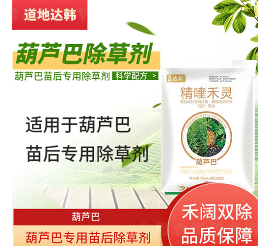 ���J�͌��������݄�-�����_(d��)�n