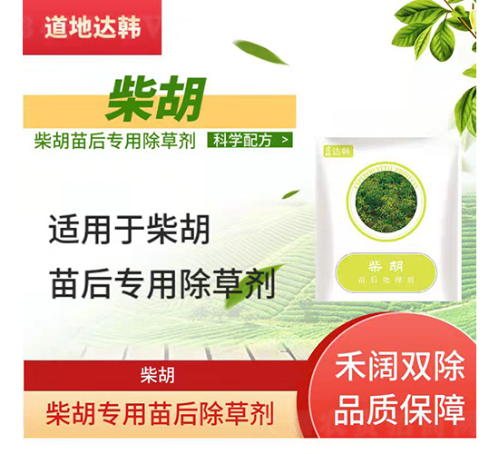 ������������݄�-�����_(d��)�n