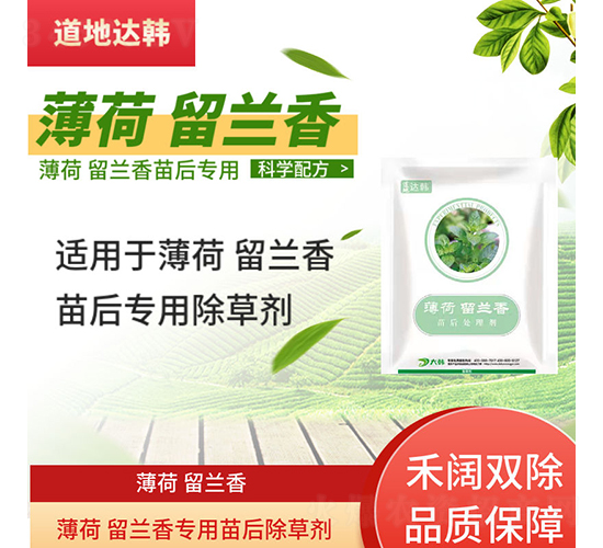 �������m�㌣�������݄�-�����_(d��)�n