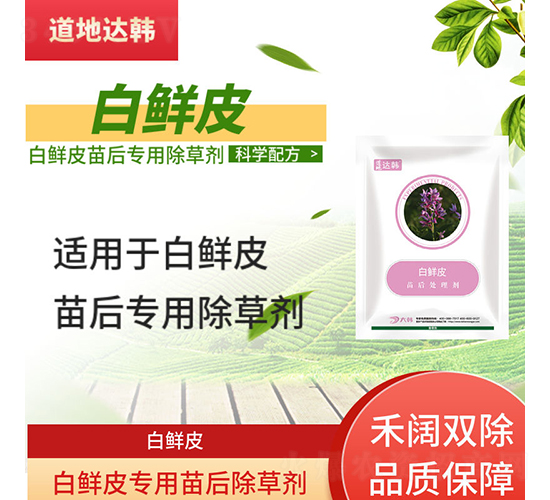 ���rƤ���������݄�-�����_(d��)�n