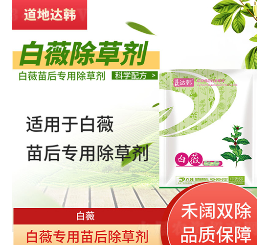 ��ޱ���������݄�-�����_(d��)�n