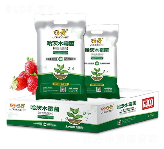 ����ľù��-�ɵ�-�f(w��n)��ȵ�