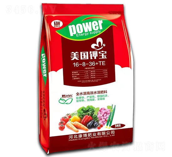 ����(gu��)⛌�16-8-36+TE-�����ʘI(y��)