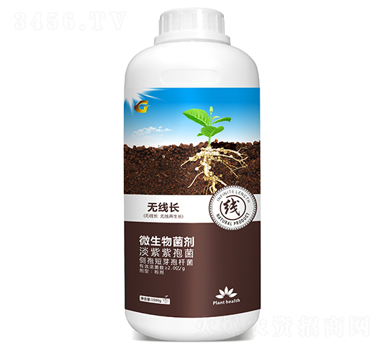 1000g΢�������-�o���L-���ý�