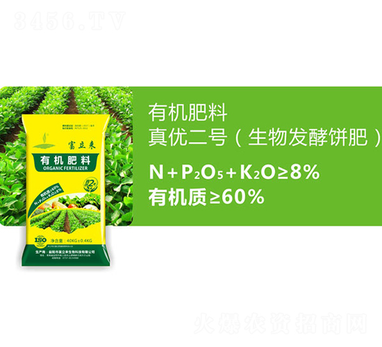 ����l(f��)���-�惞(y��u)��̖-������