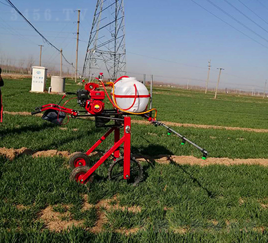 �ַ�����ʽ��ˎ�C(1)-����Cе