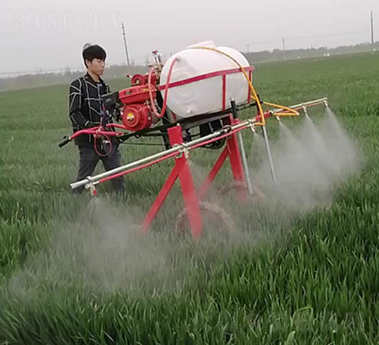 �ַ�����ʽ��ˎ�C(6)-����Cе