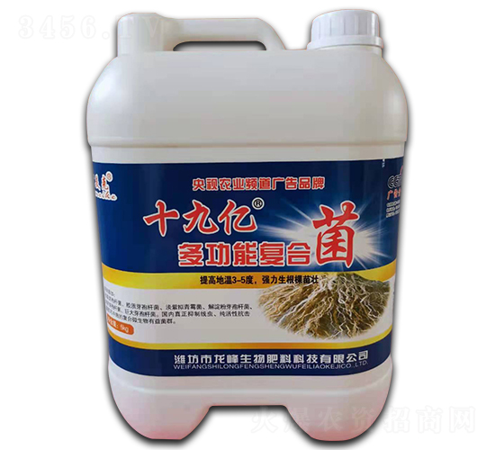 ʮ�Ń|�๦�܏�(f��)�Ͼ�-������-��������