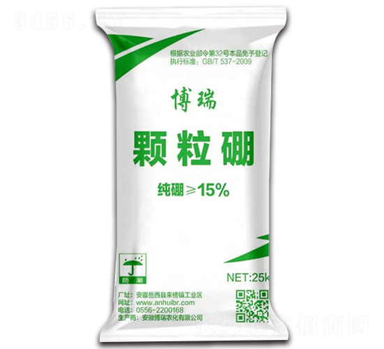 �w����ʩ���-����