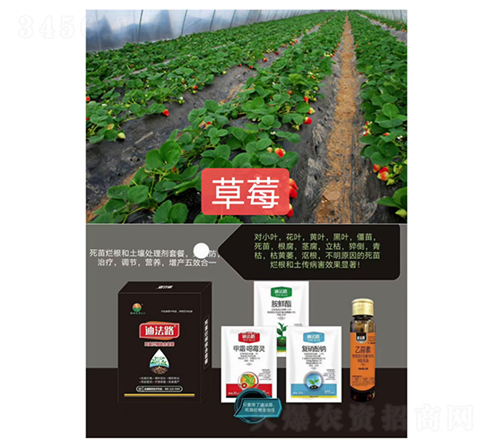 ���砀���M���ײͣ���ݮ���ã�-�Ϸ�·-�Z�M��