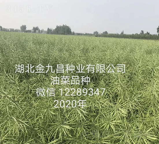 ������Ų��N�I(y��)���޹�˾�Ͳ�Ʒ�N