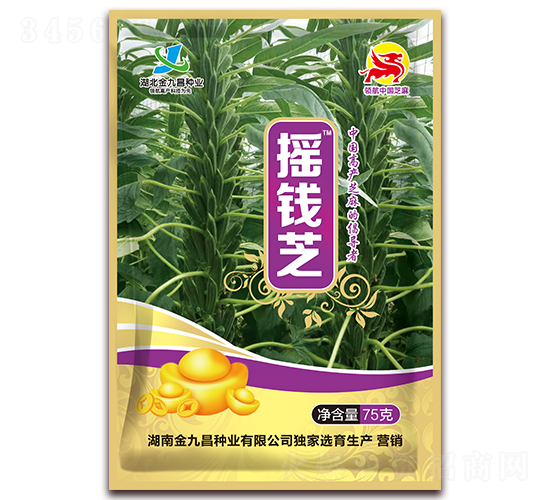 �u�X(qi��n)֥-֥��N��-��Ų�