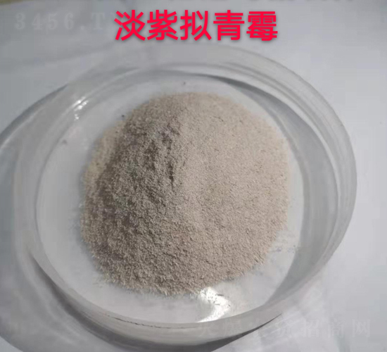 30�|�������d�w���ϔM��ù-�����-��ɽ΢����