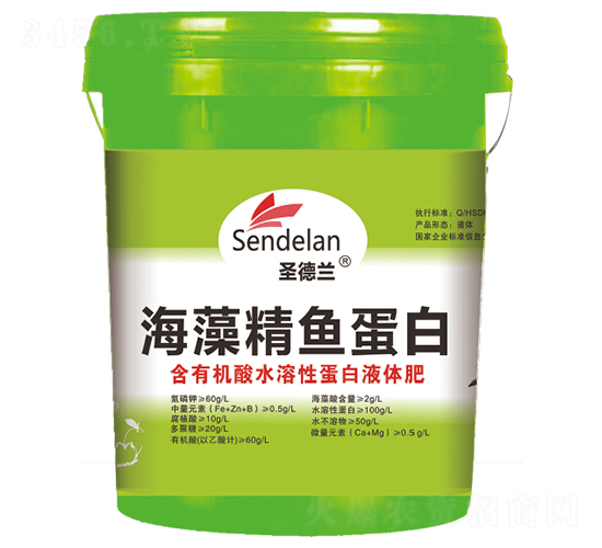 ���徫�~����-ʥ���m